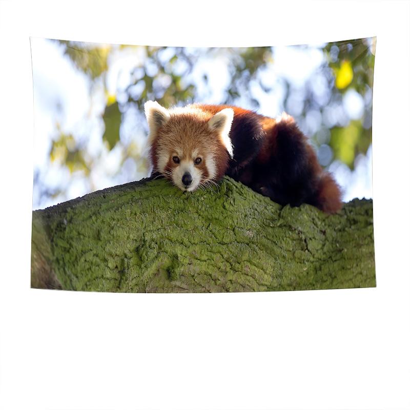 

Red Panda Animal Tree Nature Wildlife Wall Tapestry Machine Washable All Season Decor Art Print Nature Design Home Elevate Space 74x94cm(29x37in)