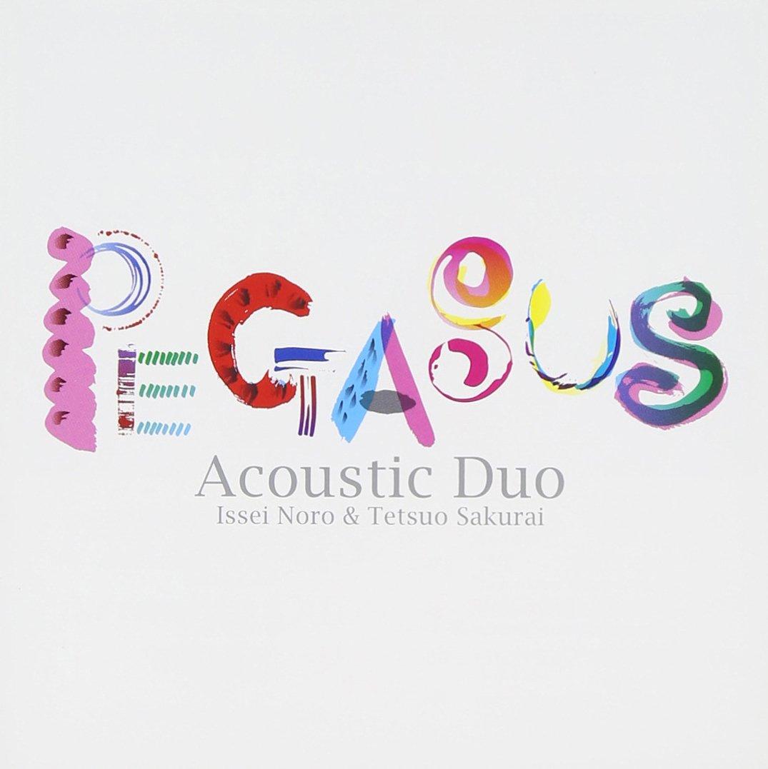 

Pegasus - Acoustic Duo