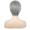 Ladies Ombre Silver Grey Wig With Bangs Short Natural Straight Synthetic Wigs for Women Fake Hair Wig Heat Resistant Wig