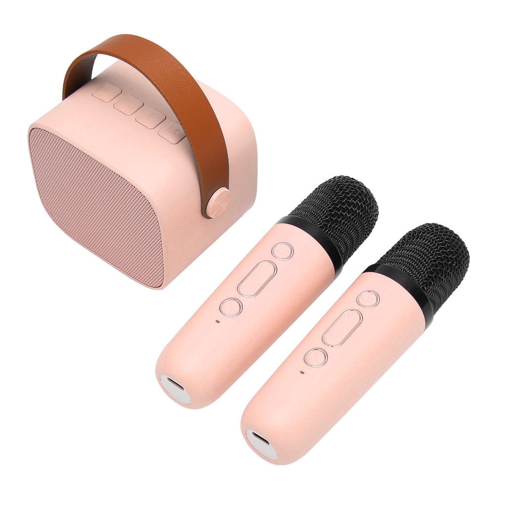 Karaoke Machine Multifunction Stereo Sound Portable Bluetooth Speaker with 2 Wireless Microphones