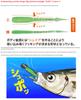 Duo Soft Lure Tetra Works Deliy 63mm 12 per pack S510 (3564)