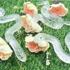 Transparente Fake Schlange Streichspielzeug Weiche Gummi Schlangenförmige Dekoration Aprilscherz