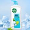 Dettol Moisturizing Mint Cool Shower Gel