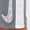Nike Dri Fit Shorts Teenagers Smoke Gray HF8081-085