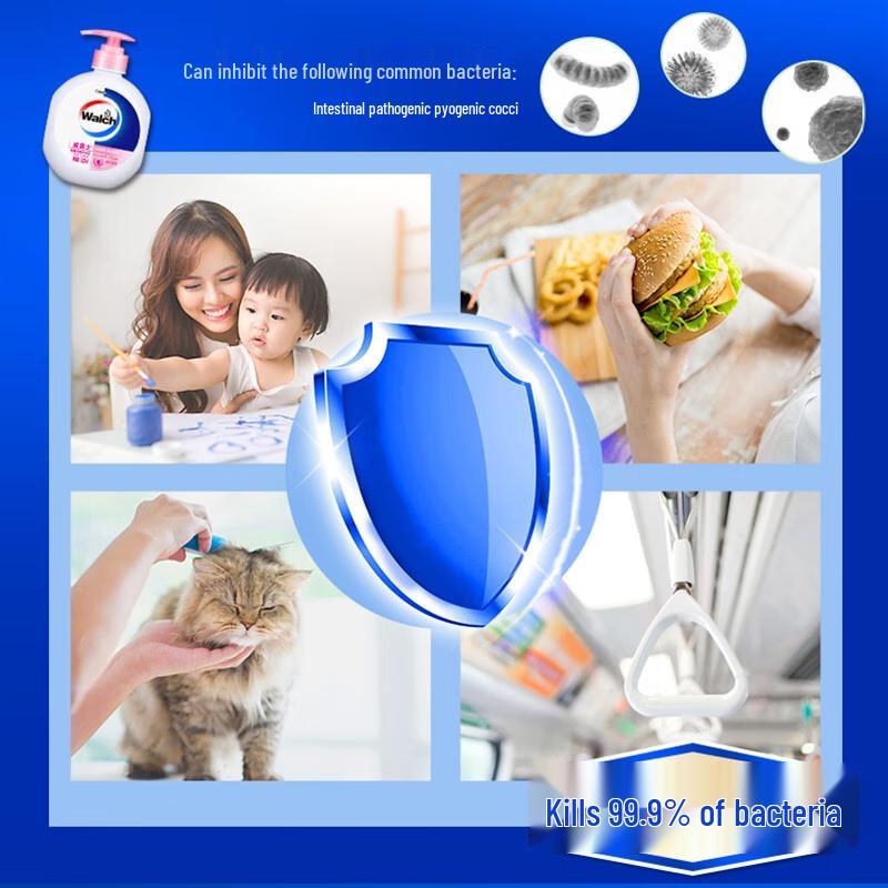 

Walch Moisturizing Antibacterial Liquid Hand Soap