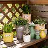 Creative Big Eye Cartoon Succulent Planter