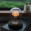 DIY Sea Creature Night Lights Battery Operated Portable Mushroom Lamp Shell Conch Ornament For Home Bedroom Decoration