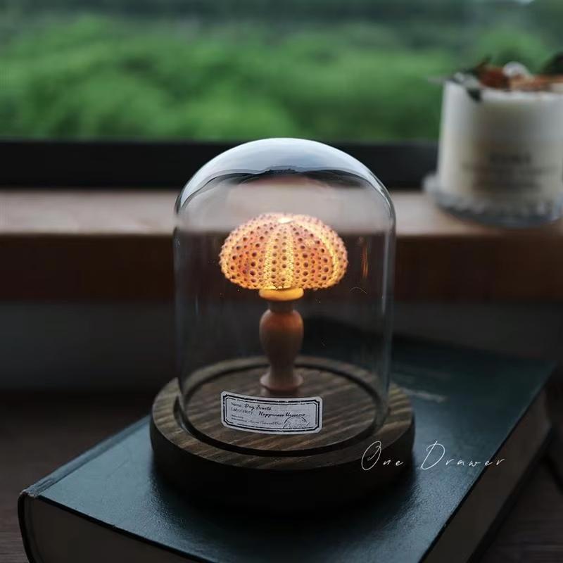 DIY Sea Creature Night Lights Battery Operated Portable Mushroom Lamp Shell Conch Ornament For Home Bedroom Decoration