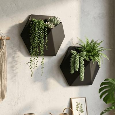Geometric Wall Hanging Planter Wall-Mounted Succulent Plant Basin  Green Plant Placement
