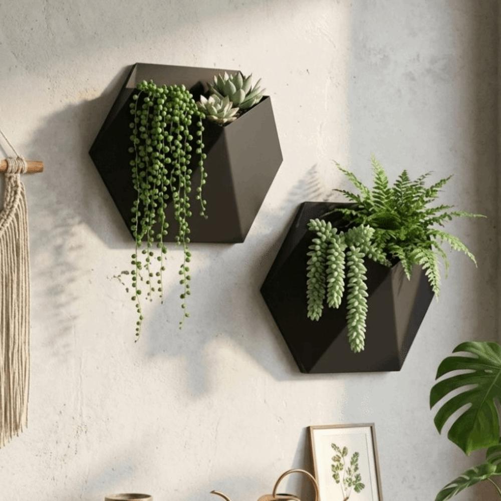 Fioriera da appendere a parete stampata in 3D Vasi da coltivazione a parete Vasca unica per piante succulente Balcone