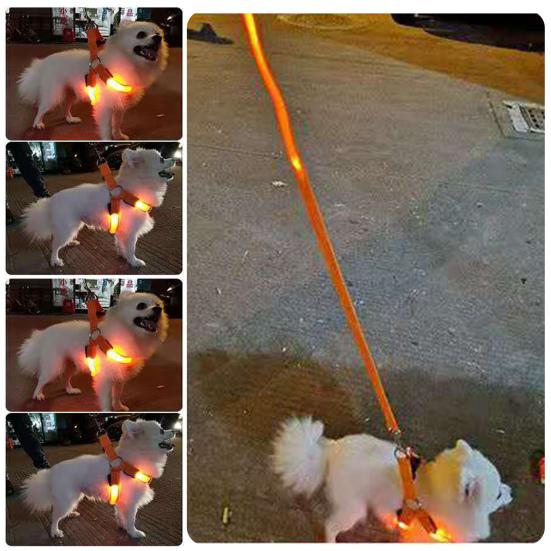 LED Pet Harness USB Rechargeable Light Up Dog Harness 3 Lighting Modes Adjustable Glow-in-The-Dark Safety Vest for Night Walking Medium Large Dogs