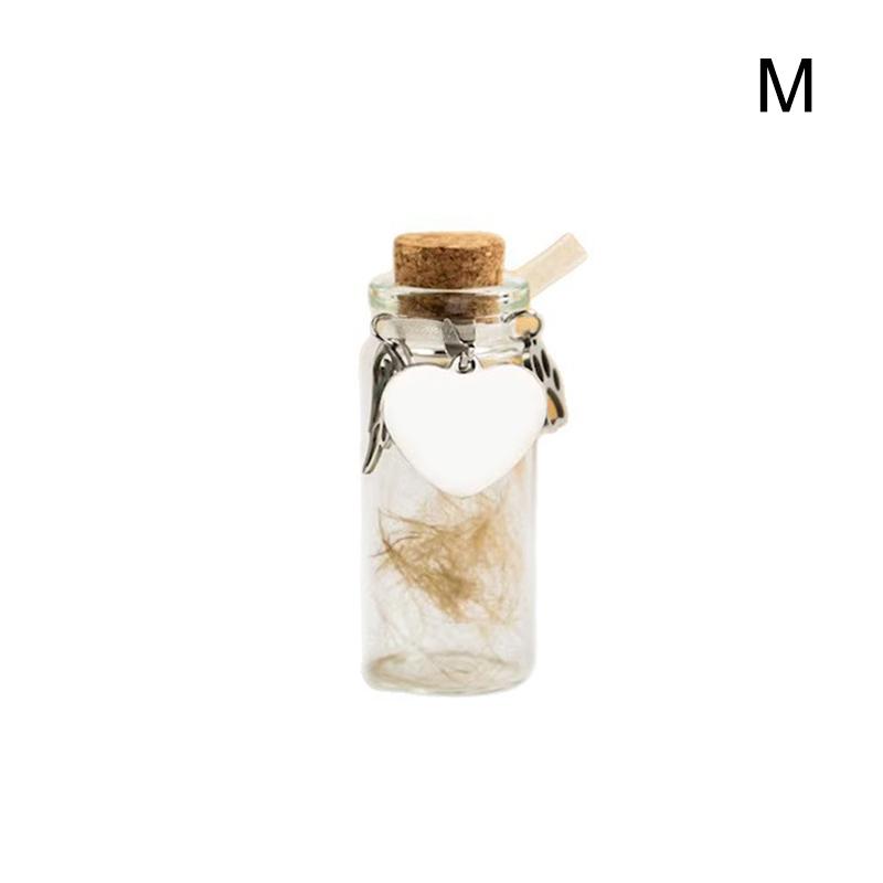 

Pet Memorial Bottle For Pet Hair Dogs Cats Fur Keepsake Bottle Storage With 3 Silver Accessories Pet Memorial Urn Container M