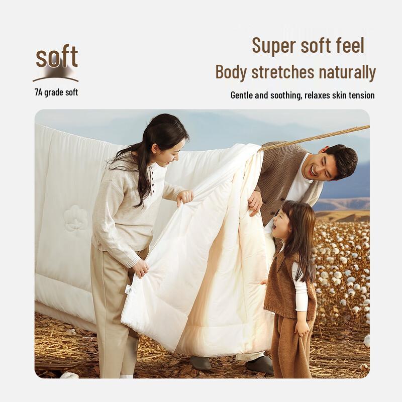 Mercury Home Textiles Premium Xinjiang Cotton Quilt