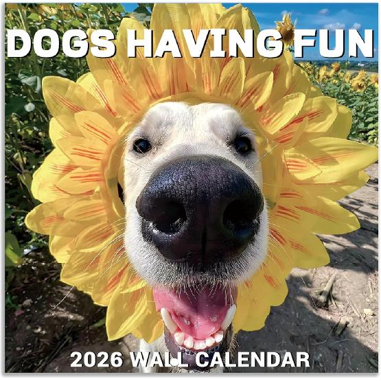 2026 Wall Calendar - JAN 2026 - DEC 2026, Funny Dog Calendar 2026, 12  x 24  Opened, 2026 Calendar, 12-Month Calendar, Funny Dog Memes Pics