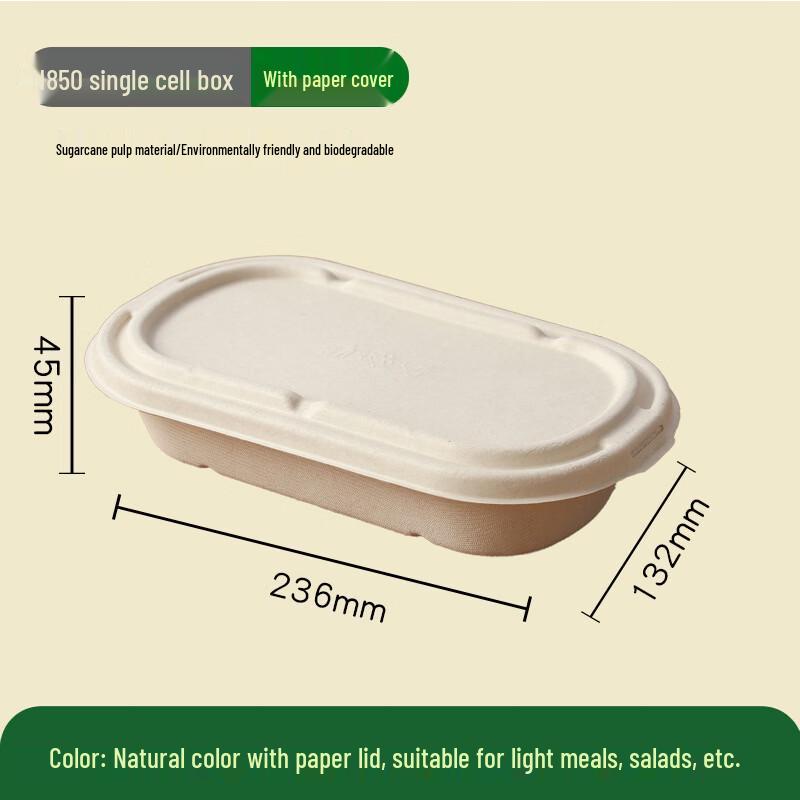 Biodegradable Takeaway Food Containers 100 Count