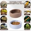 Non-Tip Reptile Food Dish Compact Reptile Bowls Portable Mealworm Feeder Cups  Chameleon