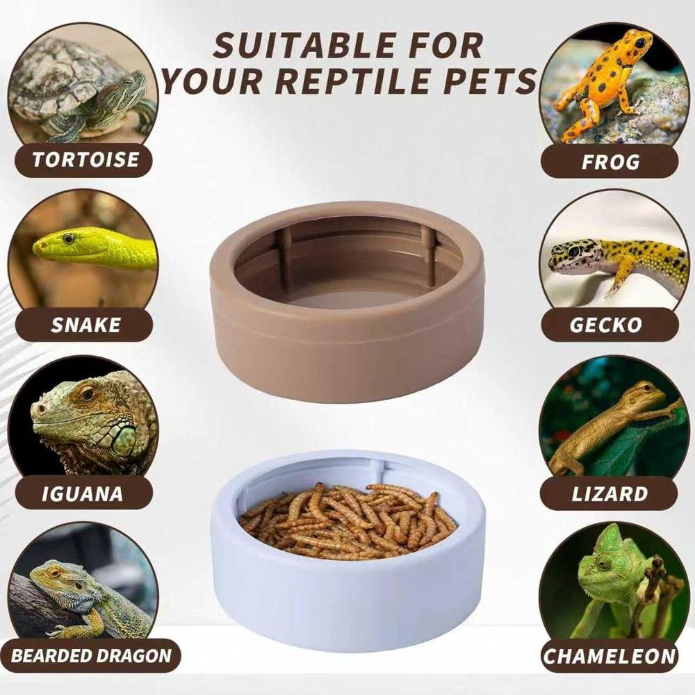 Non-Tip Reptile Food Dish Compact Reptile Bowls Portable Mealworm Feeder Cups Chameleon