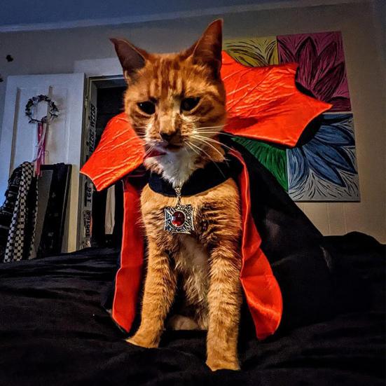 Pet Cloak Adjustable Rope Design Stand Collar Large Dogs Halloween Cosplay Cape Dog Face Outline Costume