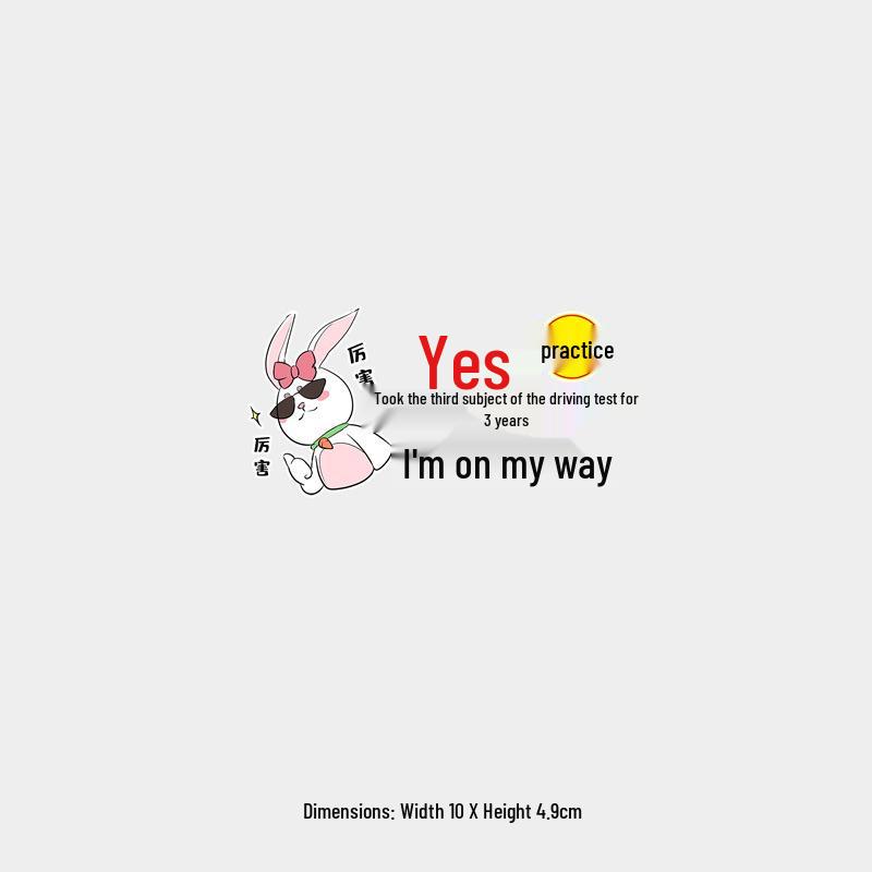 New Female Driver - Rear Windshield Reflective Car Sticker