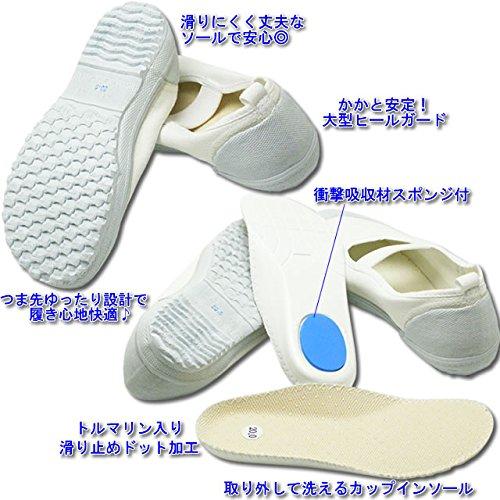 Shinnihon Education Shoes, Educational Volleyball DX Indoor Shoes, AA-KYIKBLDX, White, Size 23.5cm