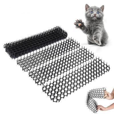 Kedi – Kedi Eğitim Aparatları