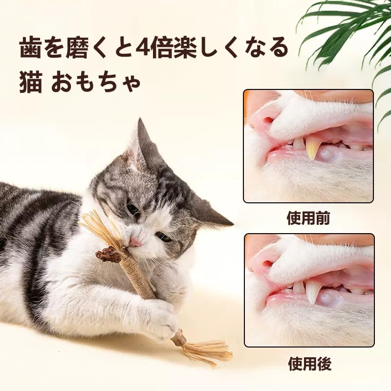 Cat Teeth Grinding Sticks, 6-Piece Set, Natural Wood Cat Chew Toys, Cat Toys, Catnip, Tartar Relief, Bad Breath Relief, Teeth Brushing Toy, Stress