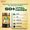 Baidyanath Junior Prash For Kids 500g | Herbal Chyawanprash With Vitamins & Calcium | Supports Immunity, Concentration & Healthy Growth For Children