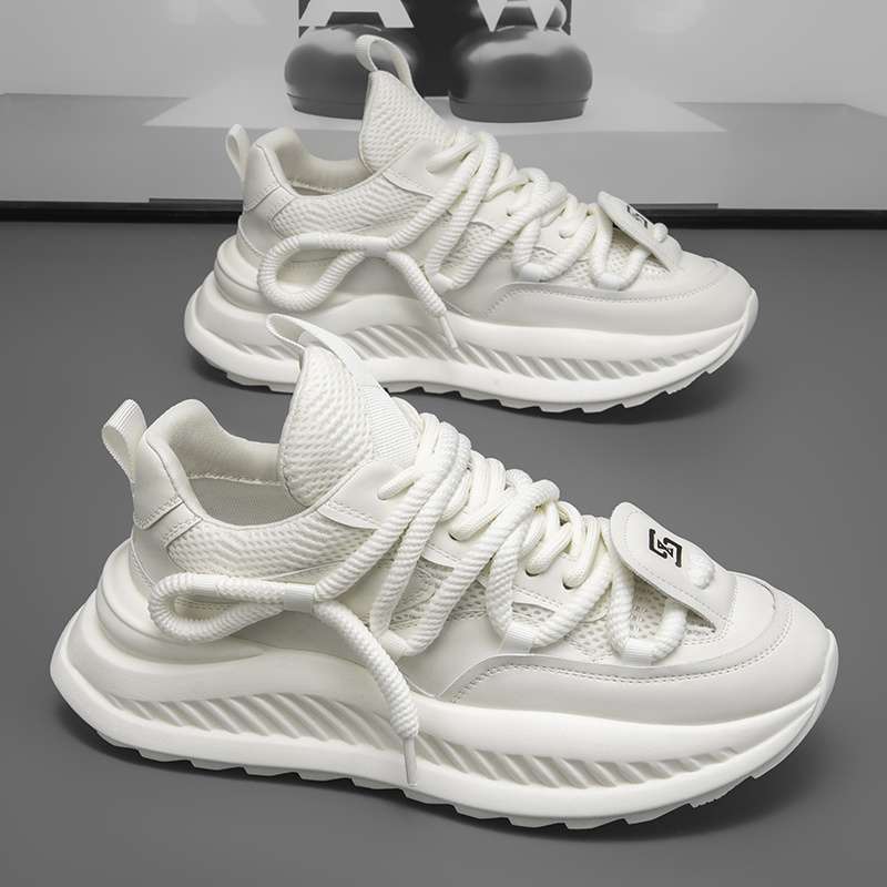 2025 men's shoes breathable mesh thick-soled niche design casual non-slip and wear-resistant advanced dad trendy shoes