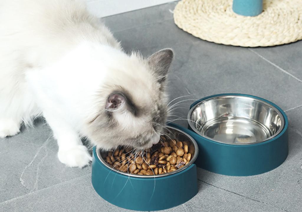 Double Bowls for Dogs Stainless Steel Feed Bowls Water Feeder Feeding Dishes Accessories for Small Dogs Cat Puppy Feeding | Dog Food