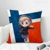 Anime Hetalia Cushion Cover Natural Linen Pillowcase Set AllinOne Decor for Sofa Bedroom  Chair