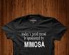 Today Good Mood Is Sponsored by Mimosa, Gift Idea, Slogan T-Shirt, Weekend Apparel, Brunch Apparel, Party Apparel, Drinking Humor