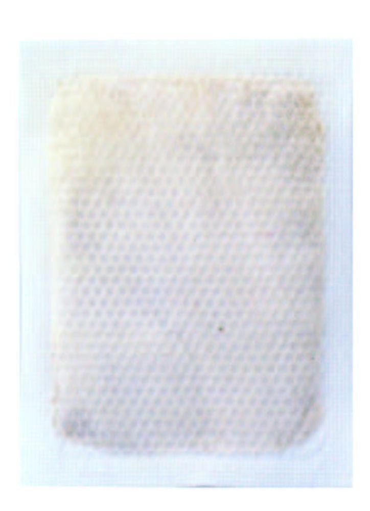 Foot Relax Sheet Mugwort Single 30 Sheets (x 1)