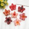Modische Blumen-Haarspangen für Damen Bohemia Große Haar-Klammern Haarnadeln Spangen Hawaiianische Kopfschmuck-Accessoires Strand