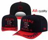 2026 Team AA Hochwertige Kappe Verstellbar 3D Bestickte Hip Hop Kappe