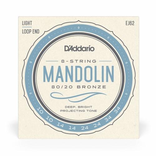 D'Addario Mandolin Strings, 80/20 Bronze Light, .010-.034, EJ62