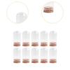10x Glass Display Domes Cloche Bell Jars Versatile Decorative Jars for