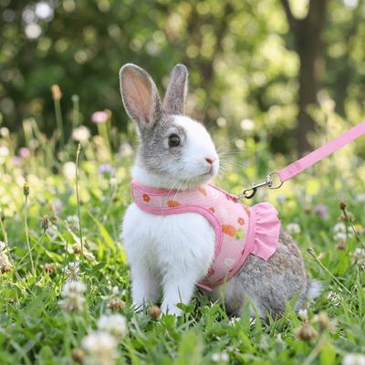 Produtos para animais – Roedores