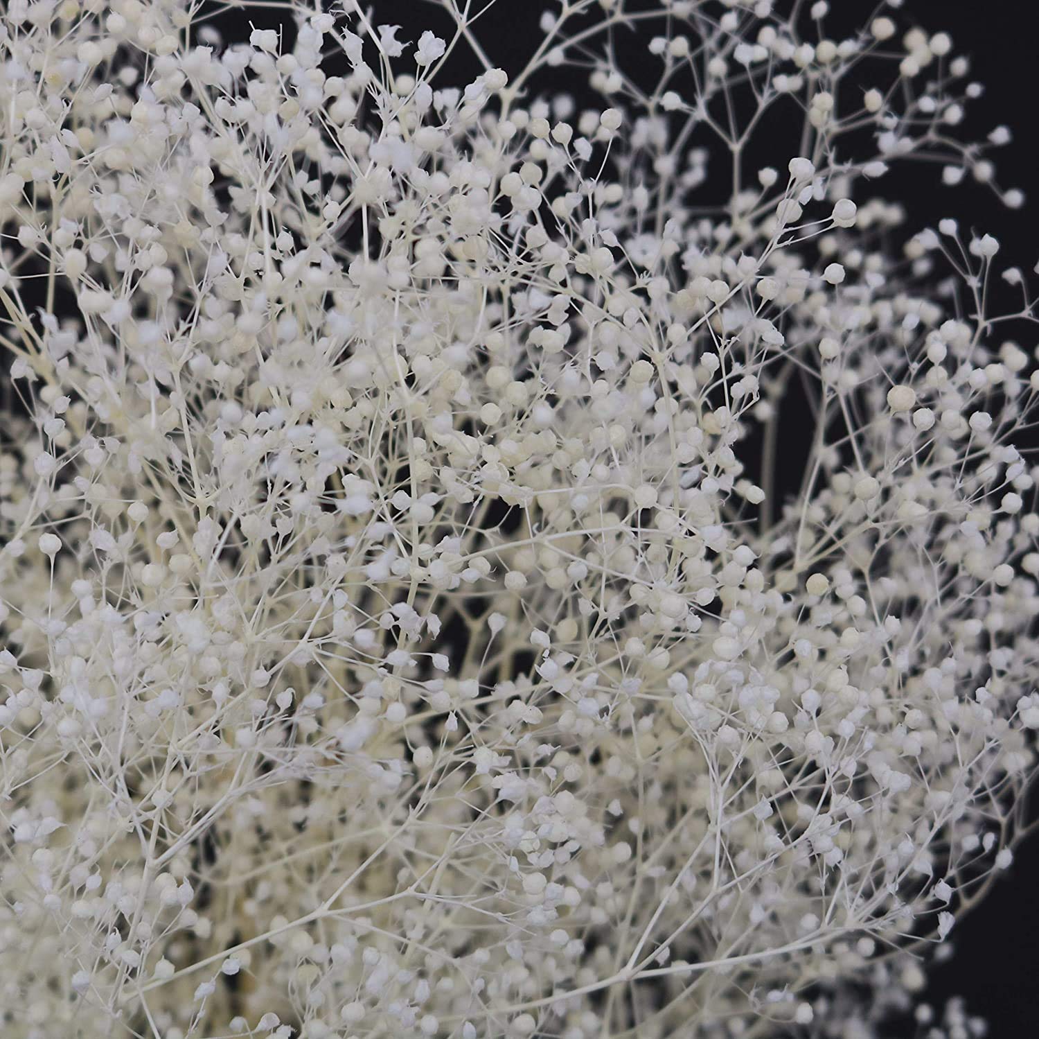 

Такеда Большая Длина 350мм Гипсофила, Белый, Пучок, прибл.. [40-0312] белый