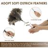 Extendable Ostrich Feather Duster With Stainless Steel Long Handle Brush Household Furniturer Dust Cleaning Tools