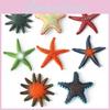 Authentic Sea Star Animal Models For Kids Educational Beach Toys Colorful Pvc Set
