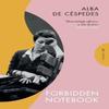 Forbidden Notebook by Alba De Cespedes Paperback Book 9781782278221