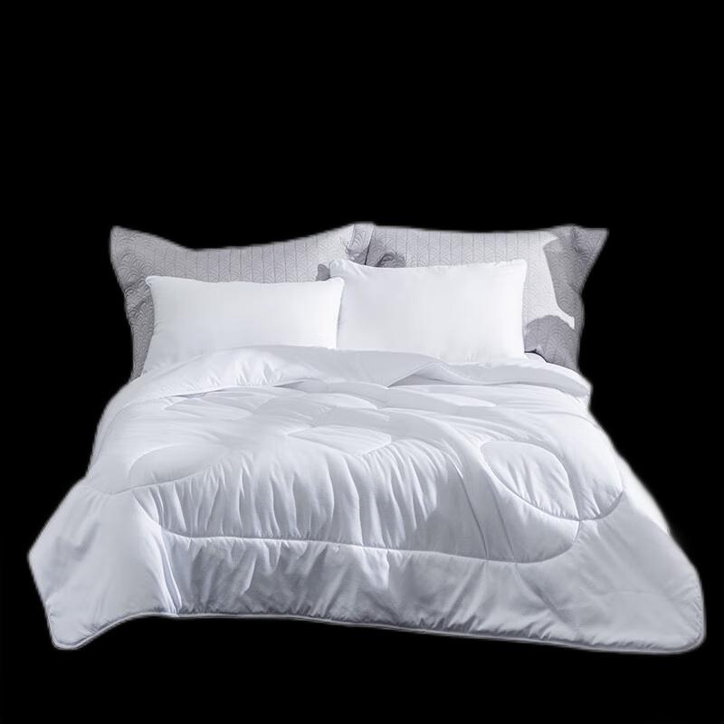 Luolaiya Soft Microfiber All-Season Quilt