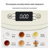 BEAR Smart Electric Tea Maker CN Plug (adapter Included)