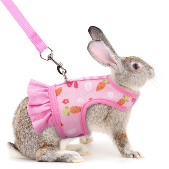 1 Set Pet Harness Leash Stylish Cute Cartoon Pattern Guinea Pig Rabbit Vest Harness Set for Outdoor Walking