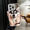 Alaskan Husky Cute Dogs Shockproof Phone Case for iPhone 18 17 Air 16 16E 15 Pro Max 14 Plus 13 Mini 12 Back Cover Anti Fall Fundas