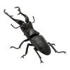 Ornament Twisted Egg Insect Mini Beetle Unicorus Dynastes Simulation Animal Model Collection Desktop Ornament FIGURE PLAYTHINGS