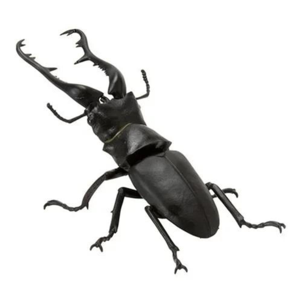 Ornament Twisted Egg Insect Mini Beetle Unicorus Dynastes Simulation Animal Model Collection Desktop Ornament FIGURE PLAYTHINGS