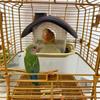 Spill-Proof Hanging Bird Feeder Waterproof Birding Box Wild Bird Feeders Bird House Pet Birds