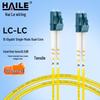 HAILE Telecom-Qualität Single-Mode 10G Glasfaser-Patchkabel