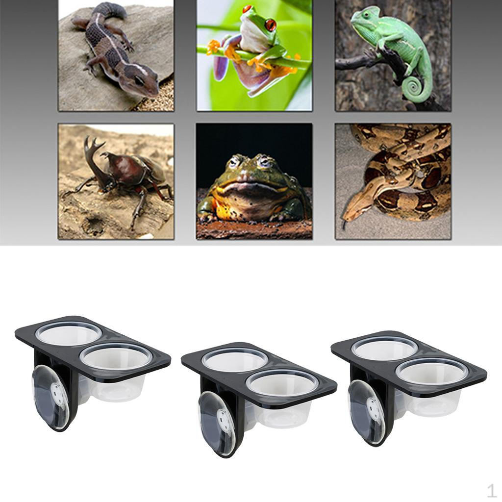 3xReptile Food Feeding Bowl Feeder with Suction Cup Double Lattice
